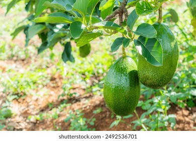 头彩娱乐官方最新活动：赢取丰厚奖励与独家优惠