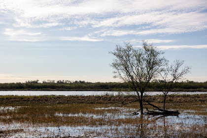 好运平台背后的故事:成功人士的共同选择与经验 好运平台背后的故事:成功人士的共同选择与经验