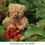 如何在72886必赢网站上实现稳定盈利,专家分享实用技巧 cosyv7y8e