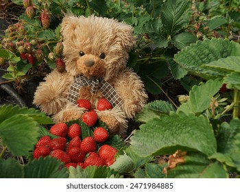 如何在72886必赢网站上实现稳定盈利,专家分享实用技巧 如何在72886必赢网站上实现稳定盈利,专家分享实用技巧