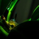 天都的传说:揭开古老神话背后的历史与文化 jw8j46