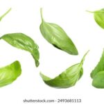 18074期开奖号码揭晓,幸运数字花落谁家? 41klv9j