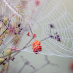 18084期开奖结果公布,幸运号码震撼揭晓 5not1tv7h