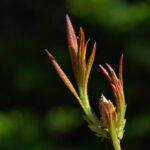 3d311期开奖结果最新公布,快来看看你中奖了吗? acombizxg