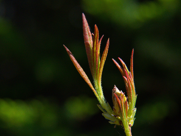 3d311期开奖结果最新公布,快来看看你中奖了吗? 3d311期开奖结果最新公布,快来看看你中奖了吗?