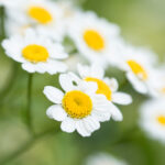 3D2期开奖结果揭晓,幸运号码震撼公布 caa1s957h5