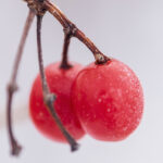 18076期足彩开奖结果揭晓:大奖花落谁家? htx60s0