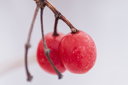 18076期足彩开奖结果揭晓:大奖花落谁家? 18076期足彩开奖结果揭晓:大奖花落谁家?