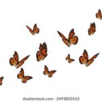 18093期足球胜负彩开奖结果及奖金分配详情 k25sjip