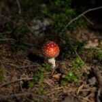 18099期开奖结果揭晓:幸运号码震撼出炉 k4g0y7i2