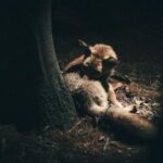 18078期足彩开奖结果揭晓,大奖花落谁家? mhnhvx10