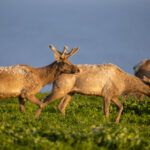 18075期体育彩票开奖结果查询与中奖号码公布 ocgklfa