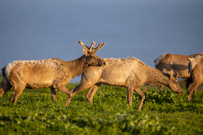 18075期体育彩票开奖结果查询与中奖号码公布 18075期体育彩票开奖结果查询与中奖号码公布