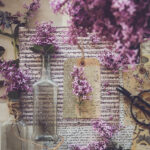 18072期彩票开奖时间具体安排及查询方式 wjsv6