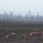 3d258期历史开奖结果查询与完整数据回顾 wu2ayx