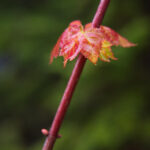 3D303期开奖结果最新公布,快来看看你中奖了吗? yy23rupu4n