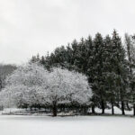 18092期彩票开奖结果已公布,快来看看你中奖了吗? z0vk1