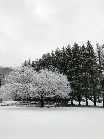 18092期彩票开奖结果已公布,快来看看你中奖了吗? 18092期彩票开奖结果已公布,快来看看你中奖了吗?