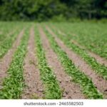 3d276期开奖结果最新公布,中奖号码全面揭晓 z3z9bc4f